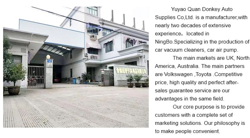 Powerful Handheld Steam Vacuum Cleaner for Carpets, Car, and household